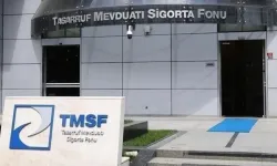 TMSF, Ekotürk'e el koydu
