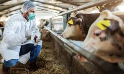 Bergama’da alarm:16 köy karantinaya alındı!