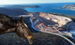 Alaçatı'nın ucubesine dört nala itiraz: "Atlarım toz içinde"