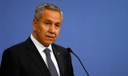 Arınç'tan Soyer çağrısı: Tutuksuz yargılayın kardeşim