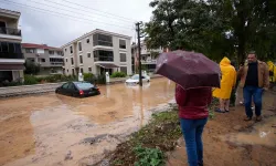 ŞPO'dan 'Foça' açıklaması: Kamusal ihmaller zincirinin sonucu!