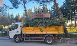 Menderes’te atıklar toplanıyor