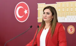 CHP'li Kılıç'tan et ithalatı çıkışı: Vatandaş et yiyemiyor, devlet kar ediyor!
