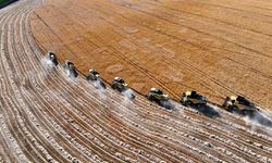 Tarımsal destek ödemesi bugün hesaplarda!