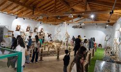 İzmir Doğal Yaşam Parkı’na ziyaretçi akını