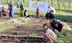 İzmir'in bereketli mahallelerinde kış ekimi!