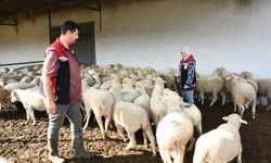 Aliağa’da üreticiye destek!