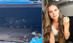 Ceyda Ateş’in sitesinde timsah paniği!