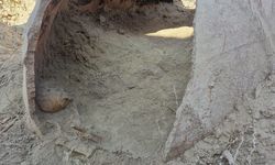 Kazıdan insan kemikleri çıktı!