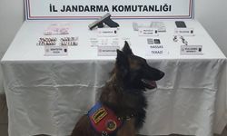 Afyonkarahisar'da 'zehir' operasyonu: 1 tutuklama!