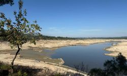 Ege'nin bir ilinde daha kuraklık alarmı!