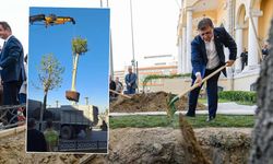 Cemil Tugay dikti... Valilik söktü!