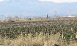 Zorlu’nun fay üstü JES’ine mahkemeden veto!