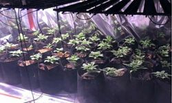 Zehir evine baskın!