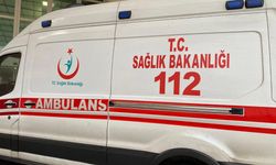 Acı son: Budamak için çıktığı ağaçtan düştü!