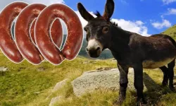 Bakanlık markayı ifşa etti... Sucuk anırdı!