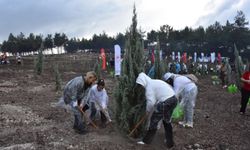 İzmir’de 115 bin fidan toprakla buluşturuldu