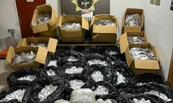 İzmir'de zehir baskını!