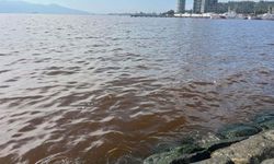 Körfezin rengi attı... Koku evleri sardı!