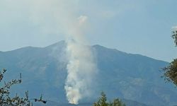 Muğla'da orman yangını