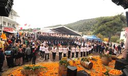 Menderes Mandalina Festivali ile coşacak