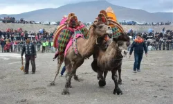 Menemen'de festivale 'şap' iptali!