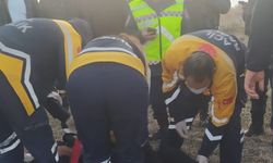 Otomobille kamyonet çarpıştı: 2 yaralı