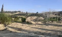 Bakanlık onay verdi... Orman arazisine moloz tesisi!