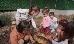 Orhanlı Köyü 2. Zeytin Hasadı Festivali coşkuyla başladı