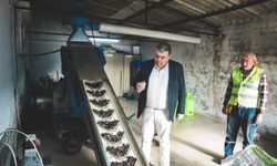 Seferihisar Belediyesi Zeytinyağı Fabrikası üreticiye can olmaya devam ediyor