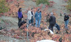 Kavacık’ın coğrafi işaretli üzümü ilgi odağı oldu