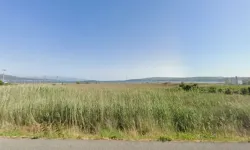 Tartışmalı Urla planlarında revize!