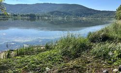 Kirlilik ile gündeme gelmişti... 'İzmir'in Abantı'na foseptik atığı iddiası!