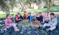 Seferihisar Belediyesi’nden örnek proje