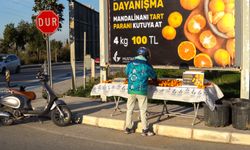 Güzelbahçe’de güven ekonomisi: Mandalinayı al, parasını bırak