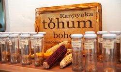 Karşıyaka’da yerel tohum bereketi