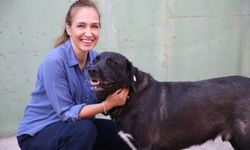 Karşıyaka'da can dostlara şefkat eli!