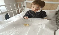 İki kardeşe saldıran pitbullun sahibi konuştu: "Koruma içgüdüsüyle saldırdı"