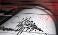 Van Tuşba'da 4,6 büyüklüğünde deprem