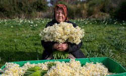 Üretimi azalmıştı... Belediyeden satış yasağı!