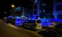 İzmir'de bir aile yok olmuştu... Küçük kardeşin planı kan dondurdu!