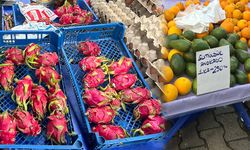 Hepsi İzmir üretimi… Üretici pazarında ‘tropik’ etki!