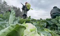 Üreticiler Birliği ‘durum vahim’ dedi ve ekledi: Aidat tahsilatı bile yapamıyorum!
