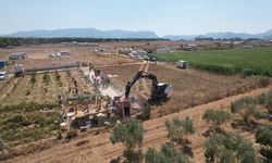 Pazarcıların başkanı tehlikeye işaret etti: Hobi bahçesi fobimiz oldu!