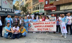 Birlik Sağlık Sen'den 'şehir hastanesi' bütçesi çıkışı: O parayla 81 hastane yapılırdı!
