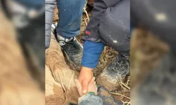 10 yaşındaki çocuk diri diri gömülmüştü: Şüpheli dayı tutuklandı