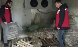 Manisa'da 4 milyon TL'lik bozulmuş kokoreç ele geçirildi!