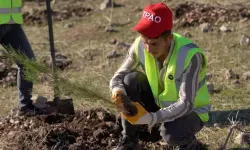 Bakan Bayraktar: Doğasıyla yeşil bir Türkiye için çalışıyoruz