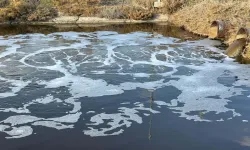 “Zehir deltası”ndan gözlemler… Kirli suyun yarısı tarıma, yarısı flamingolara!