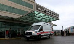 Cezaevinden çıktı... Kadını boğup gömdü!